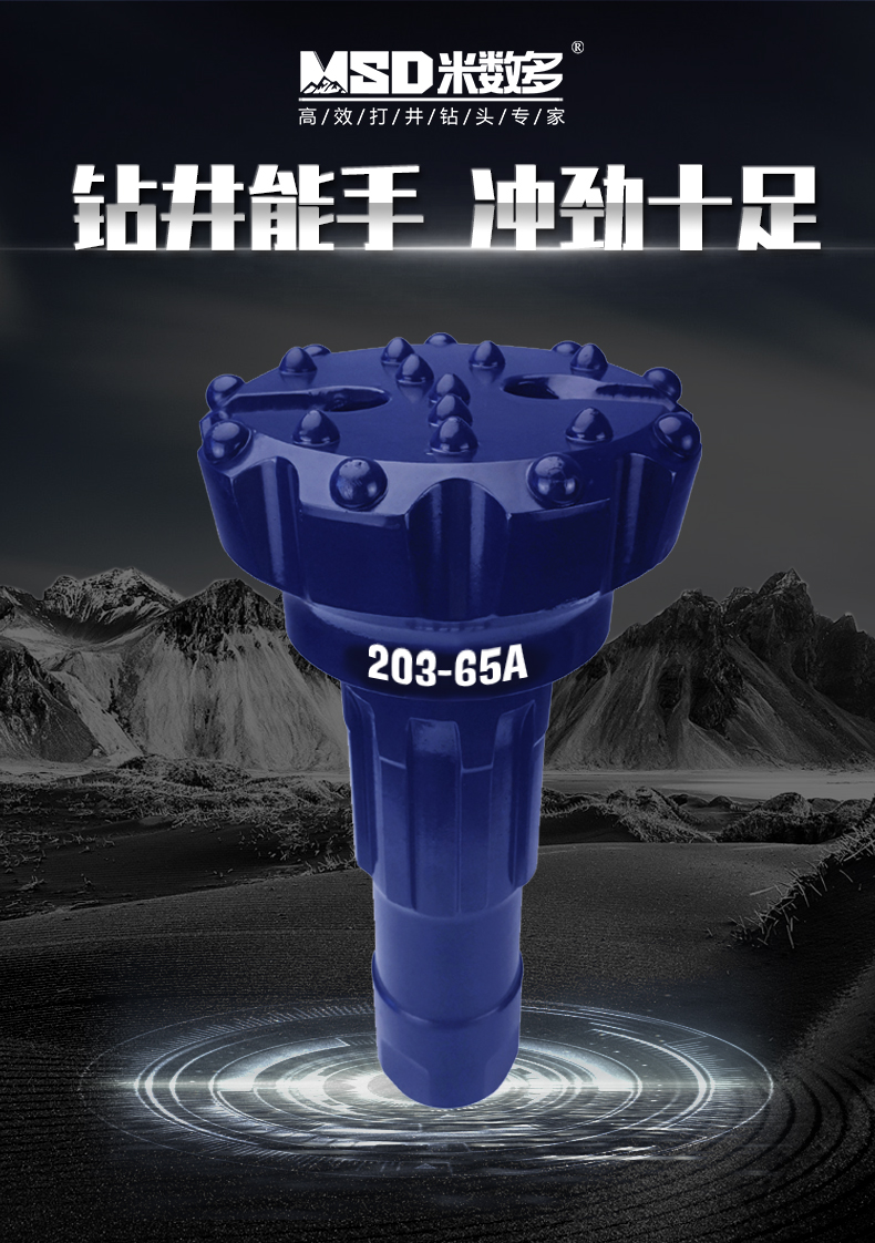 1586484307705775.jpg 203-65A_01.jpg