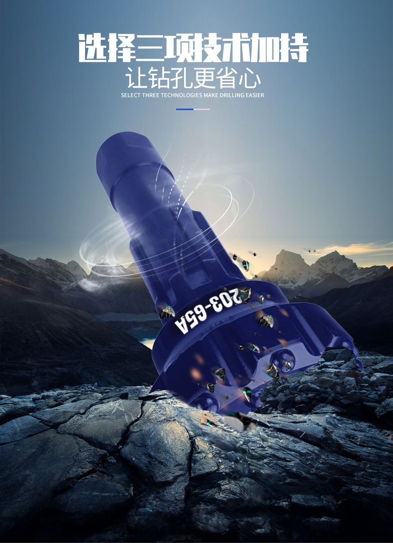 1586484320335720.jpg 203-65A_04.jpg